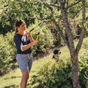 Vorschaubild Fiskars PowerGear Byp.Getriebeastsch.LX92-S 57mm 1020186