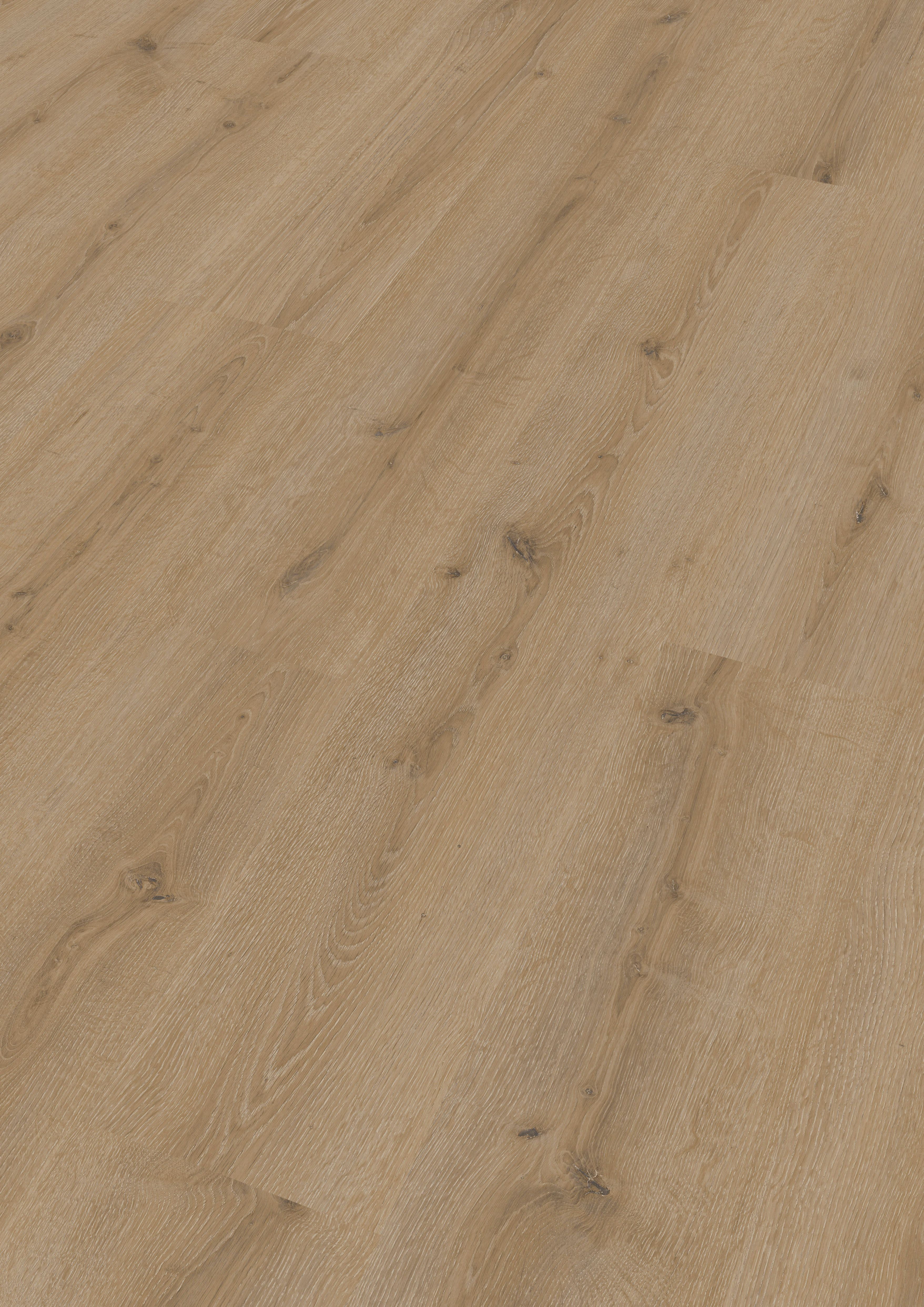 MEISTER Laminatboden MeisterDesign. laminate LC 150 1288 x 198 x 8 mm 07120 Turmeiche creme Porensynchron-Struktur