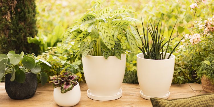 Plant Pot Pamu, creme