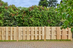 T&J JÜTLAND Sichtschutzzaun Lärche 180 x 90 cm