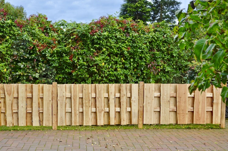 T&J JÜTLAND Sichtschutzzaun Lärche 180 x 90 cm