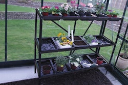 Halls Gestell für Anzuchtschalen - 3 Sektionen – Schwarz - 119 x 40 cm 