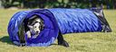 Vorschaubild TRIXIE Fun Agility Basic Tunnel, ø 60 cm/5 m, blau