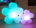 Vorschaubild 8 seasons design LED-Dekoleuchte Shining Flower (RGB), verschiedene Größen