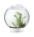 Vorschaubild BiOrb Aquarium CLASSIC 30 MCR