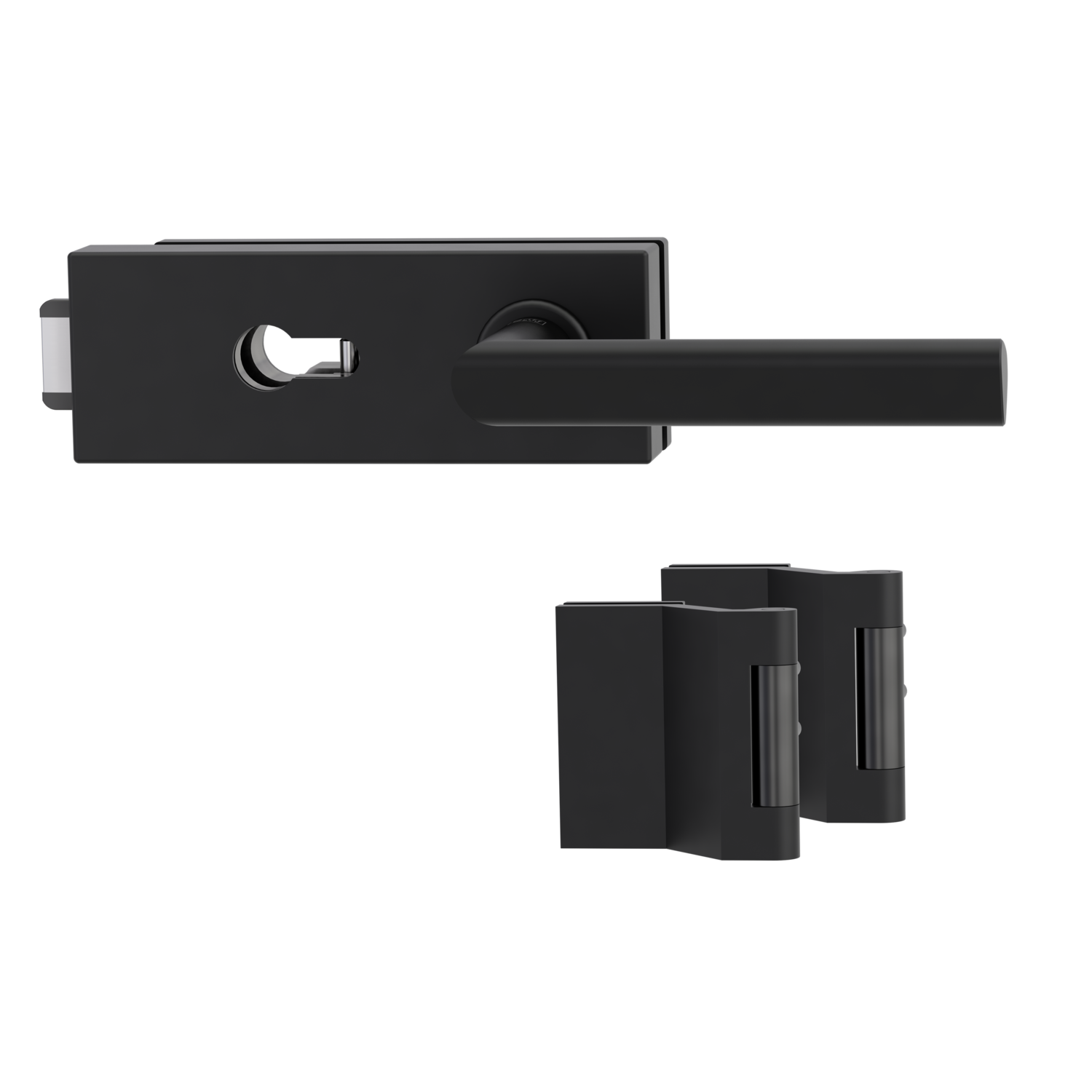 Griffwerk Glastürbeschlag PURISTO S mit Griff TRI 134 Profilzylinder Flüster 3-tlg. Bänder TRI 134 Graphitschwarz