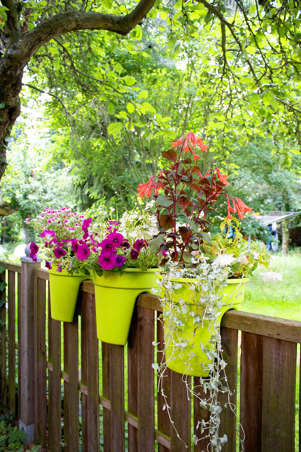 KHW Flowerclip, 3er Set