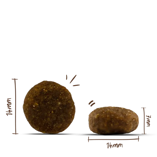 Bosch MENUE Junior Pute mit Hafer und Hirse 2,4kg 