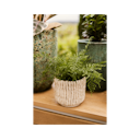 Vorschaubild Wikholm form Design Pflanzgefäß / Blumentopf Terrakotta creme ⌀ 15 x H 17 cm