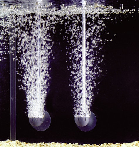 Eheim Aquarium Ausströmer für air pump