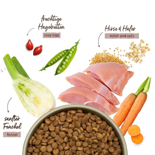 Bosch MENUE Junior Pute mit Hafer und Hirse 2,4kg 
