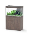 Vorschaubild Aquatlantis Sublime 245 100x50cm Aquarium mit Unterschrank