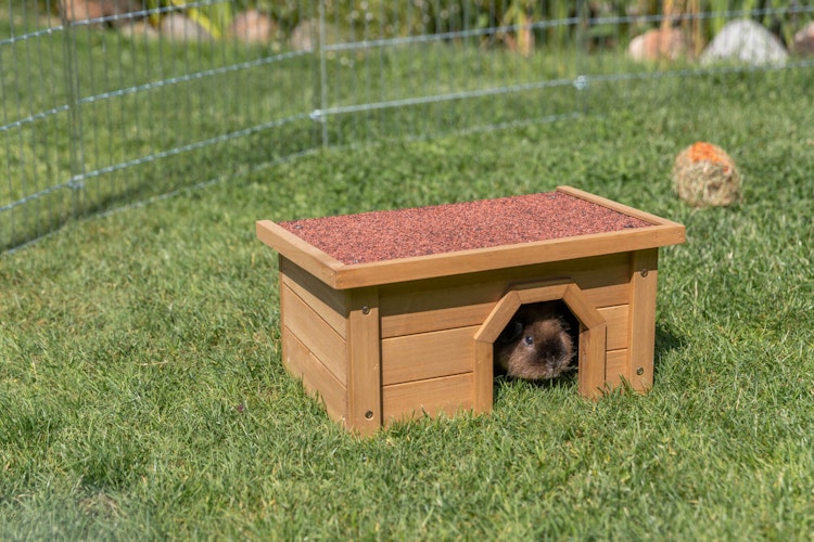 Kleintierhaus, 40 × 20 × 28 cm, dunkelbraun
