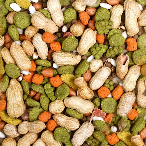 JR FARM Hamster-Snack 100g Kleintiersnack