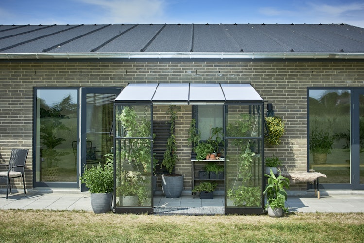 Halls Gewächshaus Qube Lean-to - 0,9 m² / 1,3 m² / 5 m² / 7,2 m² Farbe: Schwarz