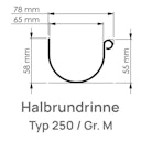 Vorschaubild Rinnenstutzen DN60 zum Stecken, Typ 250 braun