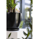 Vorschaubild Plate Pamu, schwarz