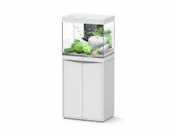 Aquatlantis Splendid 110 60x40cm Aquarium mit Unterschrank