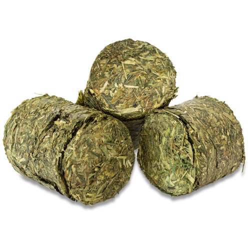 JR FARM GrainlHealth Vital-Blocks Atemwege 300 Gramm KleintierKleintierergänzungsfutter