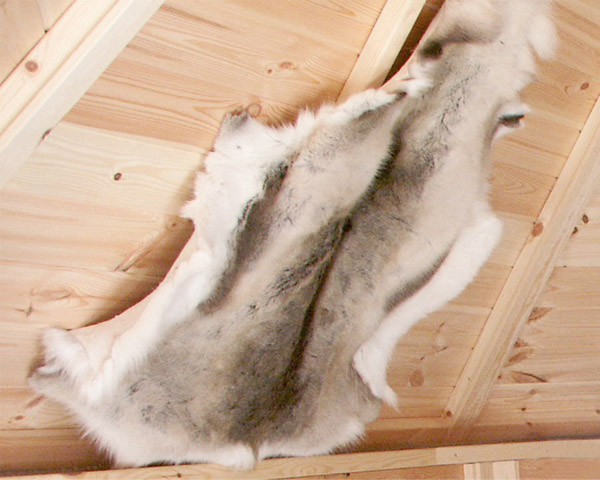 Thumbnail - Wolff Finnhaus zusätzliches Rentierfell