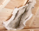 Vorschaubild Wolff Finnhaus zusätzliches Rentierfell