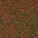 Tropical Cichlid Gran Fischfutter