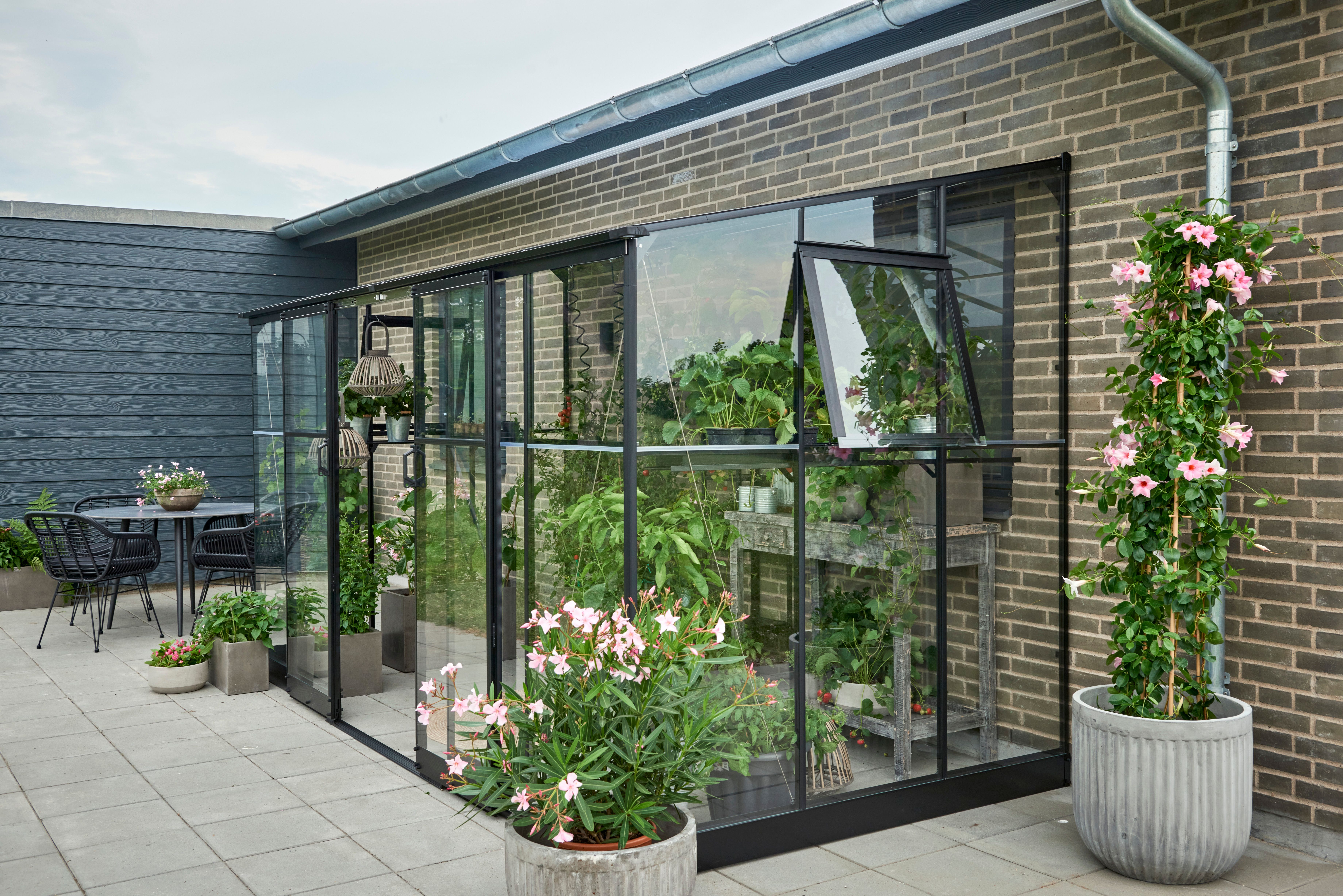 Halls Gewächshaus Qube Lean-to - 0,8 m² / 1,2 m² / 4,7 m² / 7,1 m² Farbe: Schwarz