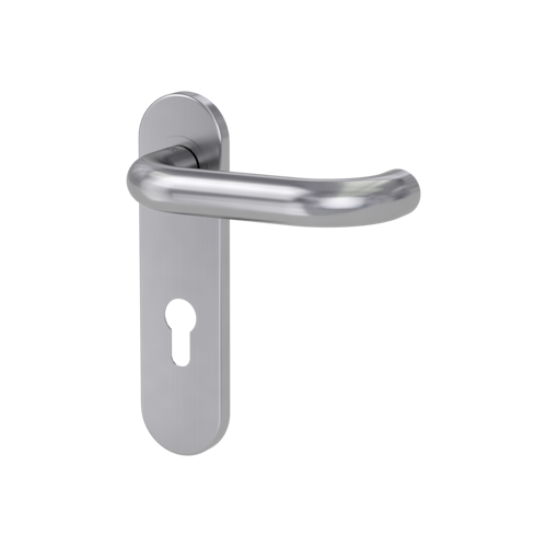 Griffwerk Türgriff ALESSIA PROF Kurzschild rund FS