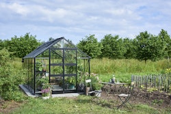 Halls Gewächshaus Blockley 8,1 m² / 9,7 m² / 11,3 m²  - Schwarz mit 3 mm Sicherheitsglas  inkl. integrierten Fundamentrahmen