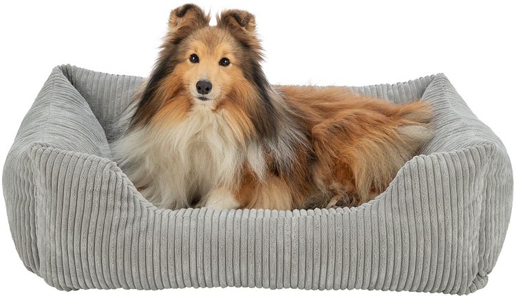 TRIXIE Vital Bett Jonna eckig mit Cordplüsch und Memory-Foam, hellgrau