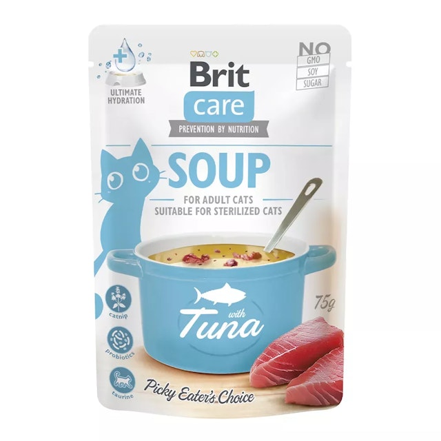 Brit Katze SoupVorschaubild