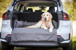 WOLTERS Dog Traveling Kofferraumbett 110 x 75 x 20 cm dunkelgrau