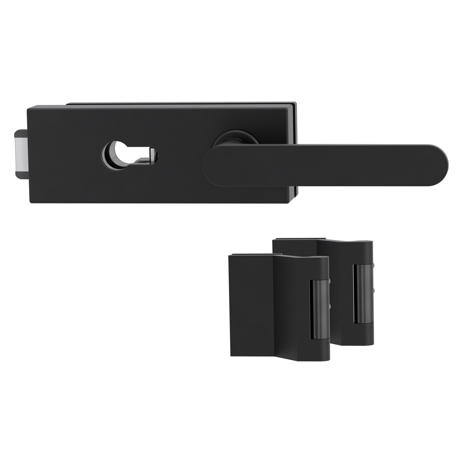 Griffwerk PURISTO S -Graphitschwarz Ganzglastürbeschlagset -3-teiliger Bandsatz -mit Griff AVUS -GSC -PZ