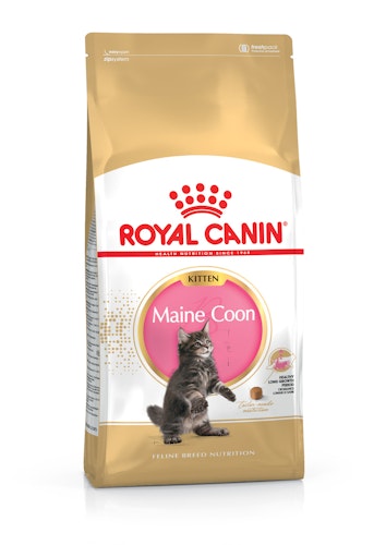 ROYAL CANIN Feline Kitten Maine Coon 36 400g