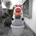 Winterschutz Vlieshaube in verschiedenen Motiven