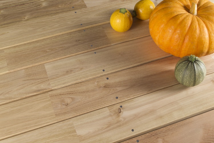 FelixWood®  Terrassendiele Robinie Glatt/Glatt 22 x 120 mm