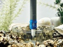biOrb Multi-Reiniger blau