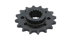 RK Antriebsritzel 5524-2Q