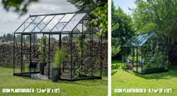 Halls Gewächshaus Icon Pflanzenhaus 6/8 - 7,3 m² / 9,7 m²