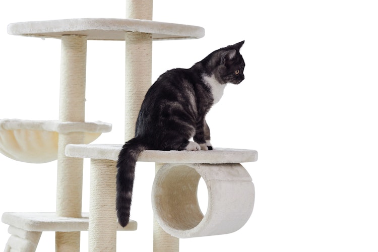 Nobby Kratzbaum Classic Dilan 50x40x137cm cream