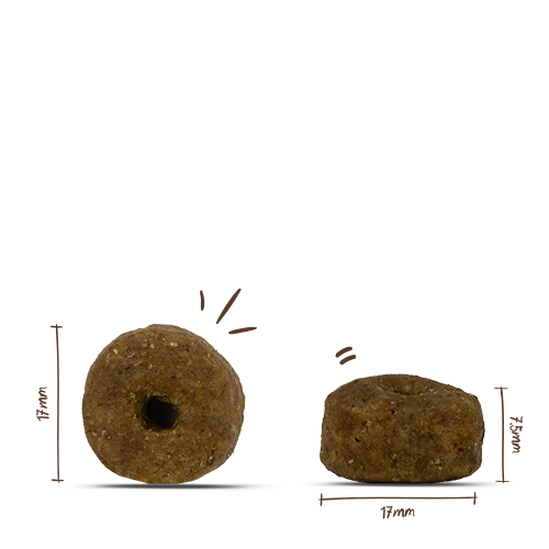 Bosch HPC INSECT Adult Tapioka mit Äpfel 2,5kg