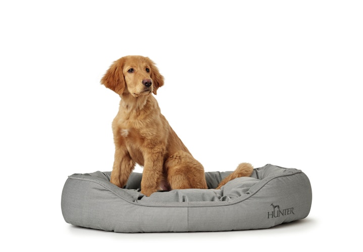 HUNTER Hundesofa Lancaster