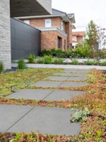 Diephaus Betonplatte mit Fase