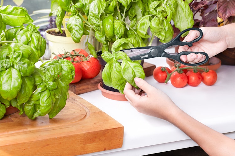 kwb Univ.- Küchenschere 215 mm 27195