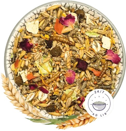 Bunny ZwerghamsterTraum 600g Kleintierfutter