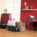 Vorschaubild SAVIC Transportbox anthrazit/grau