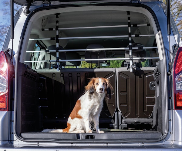 TRIXIE Auto-Gitter 105-172/46-60cm silber/schwarz