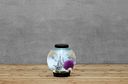 Vorschaubild BiOrb Aquarium CLASSIC 15 LED