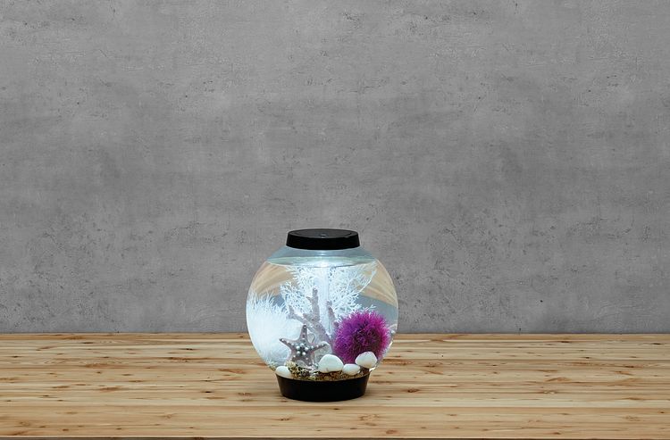 BiOrb Aquarium CLASSIC 15 LED