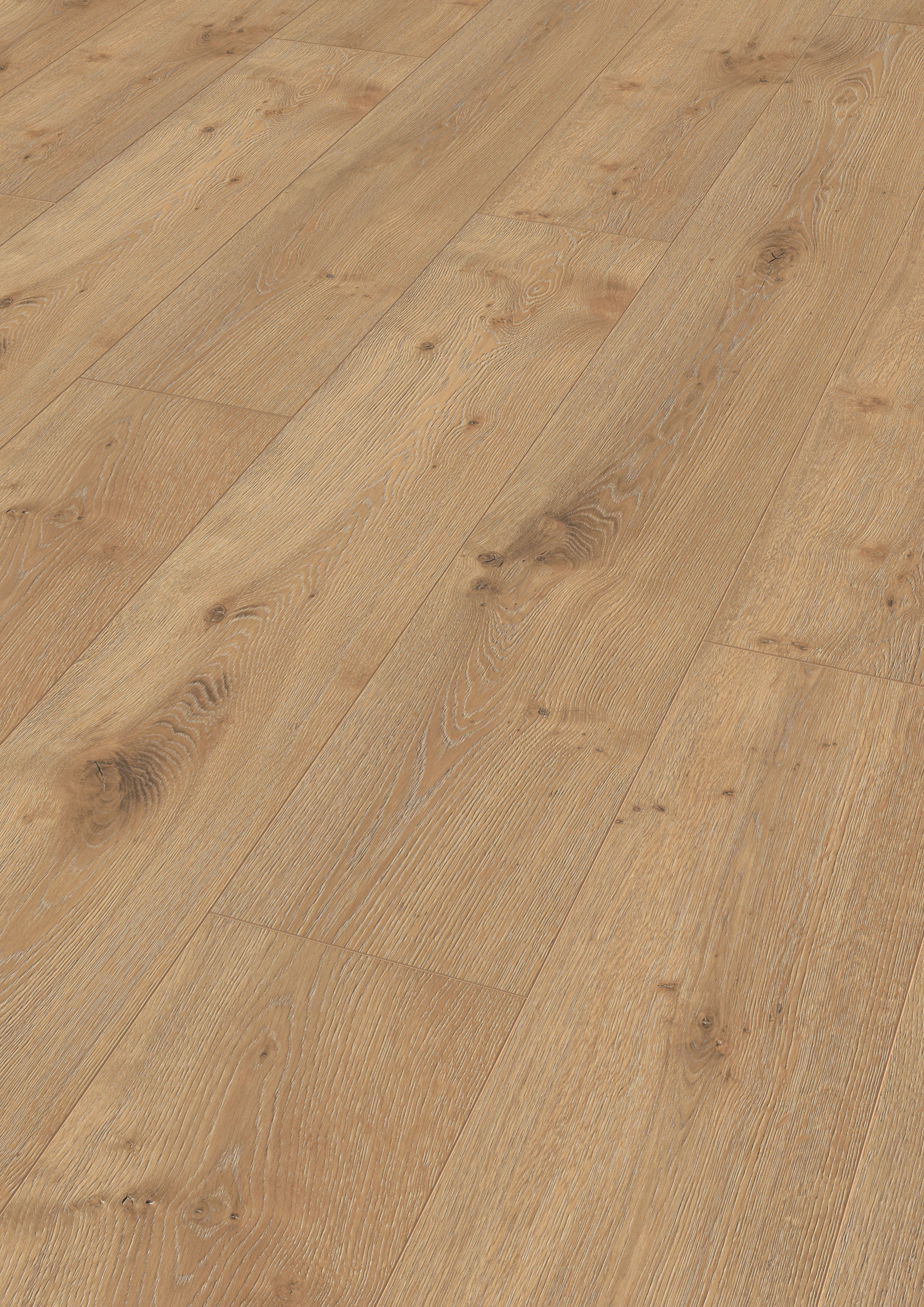 Handmuster Meister Laminatboden MeisterDesign. laminate LL 250 2052 x 248 x 10 mm 06385 Eiche Dakar Porensynchron-Struktur